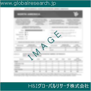 グローバルリサーチ調査資料のイメージ